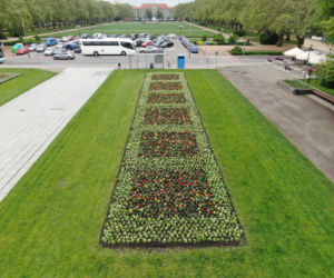 Szczecin w kwiatach