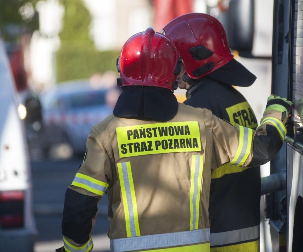 Chrząchów: Pięć tysięcy indyków spłonęło w pożarze! NOCNY KOSZMAR zwierząt [ZDJĘCIA]