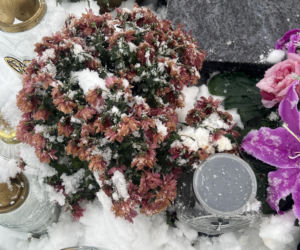 Tak wygląda grób Krzysztofa z Rolnik szuka żony