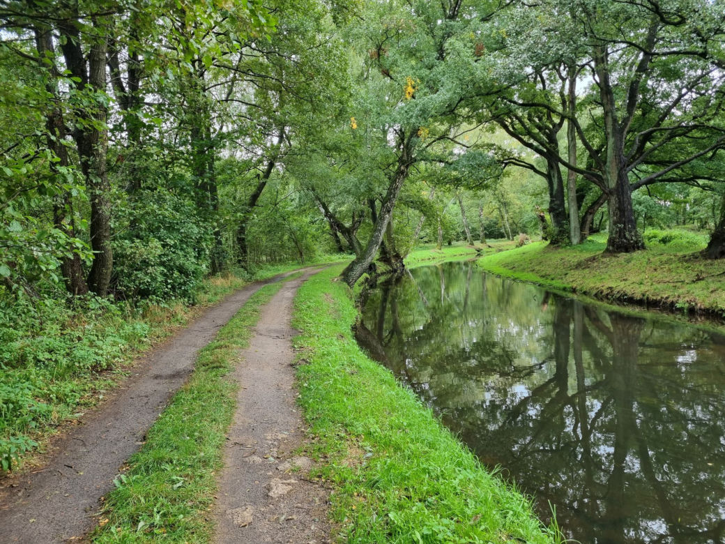 Gigantyczne raki mieszkają w rzece Wieprzy