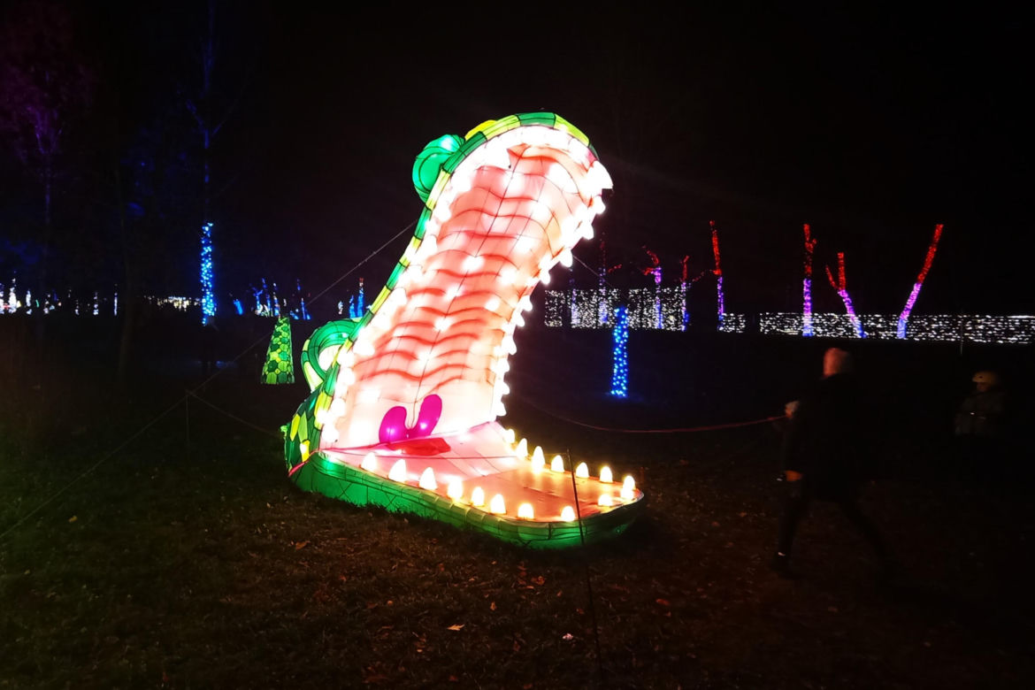 Garden of Lights w Szczecinie