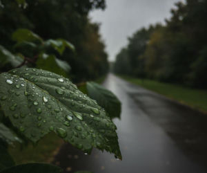 Weekend w Lublinie ma jeden słabszy moment. Prognoza pokazuje ważną zmianę aury