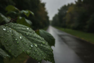 Weekend w Lublinie ma jeden słabszy moment. Prognoza pokazuje ważną zmianę aury