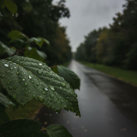 Weekend w Lublinie ma jeden słabszy moment. Prognoza pokazuje ważną zmianę aury