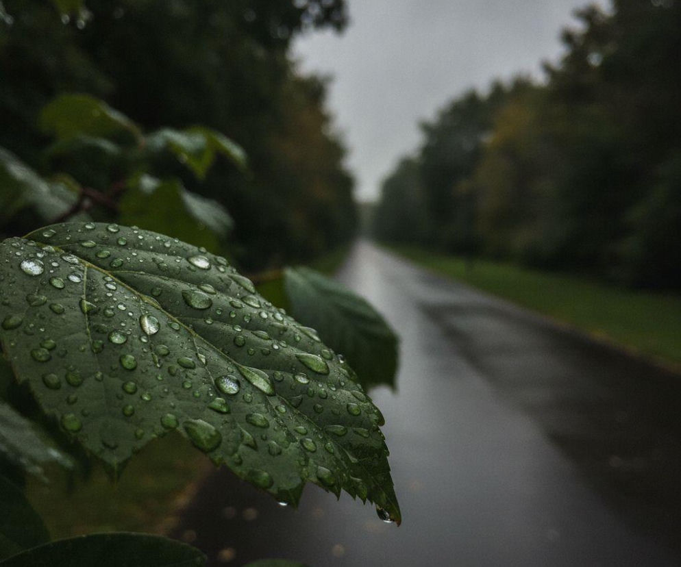 Weekend w Lublinie ma jeden słabszy moment. Prognoza pokazuje ważną zmianę aury
