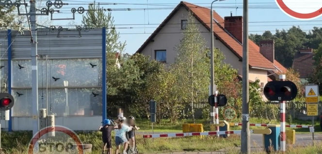 Dzieci na hulajnogach ominęły rogatki. Chwilę później przejechał pociąg [WIDEO]