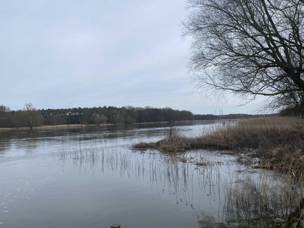 Zmiany w Parku Odrzańskim w Zielonej Górze. Zobacz jak wygląda obecnie