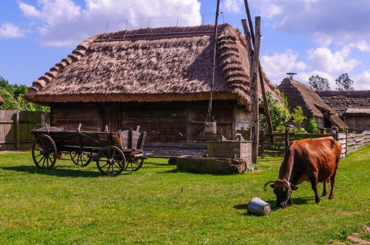 3. Dobra Szczecińska