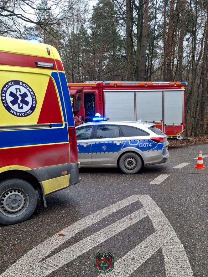 Skoda z dwiema osobami w środku uderzyła w drzewo. 4-letnie dziecko trafiło do szpitala