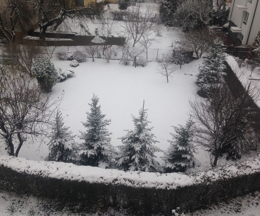 W Rzeszowie spadł pierwszy śnieg