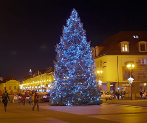 Białystok. Dekoracje świąteczne 2019/2020