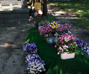 Grób Henryka Wujca