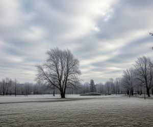 Mróz w Włocławku 20.11.2025. Czy to koniec jesieni, jakiej znamy?