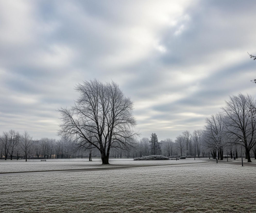 Rozległy park pokryty jest cienką warstwą szronu, nad którym rozciąga się zachmurzone, jasnoszare niebo. Centralnym punktem jest duże, bezlistne drzewo o ciemnych konarach, stojące na środku trawnika. Przed nim i po bokach ciągną się szerokie, równe trawniki, a w tle widać aleje obsadzone szpalerami podobnych, oszronionych drzew i krzewów. Po prawej stronie biegnie asfaltowa ścieżka, wzdłuż której rozmieszczone są latarnie, a na horyzoncie majaczą niewyraźne zarysy budynków.