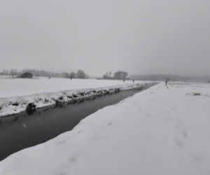 Pokłóciła się z mężem i wysiadła z samochodu bez kurtki. Tragiczny finał poszukiwań 37-latki
