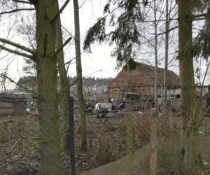 Horror koło Lubina. Świnie zjadły rolnika