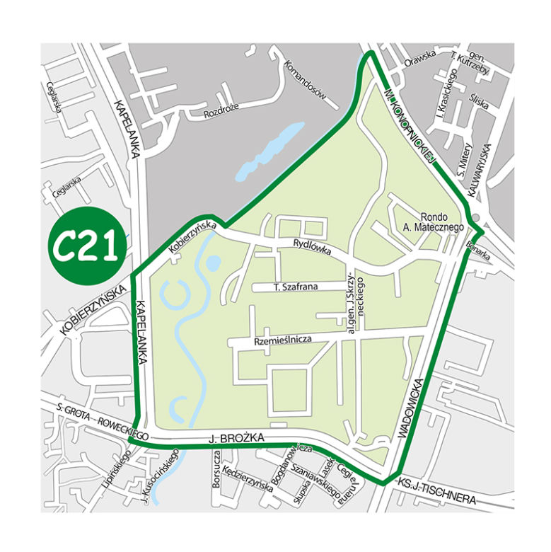 Podstrefa C21