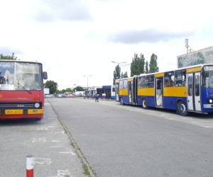 Zlot zabytkowych autobusów w Bydgoszczy