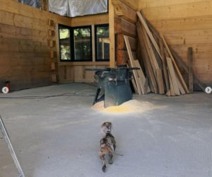 Karpiel-Bułecka 11 lat projektował dom