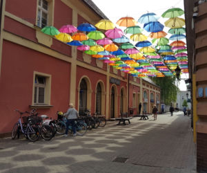 Leszno znów zdobią parasolki. Mienią się nad ul. Wróblewskiego kolorami tęczy