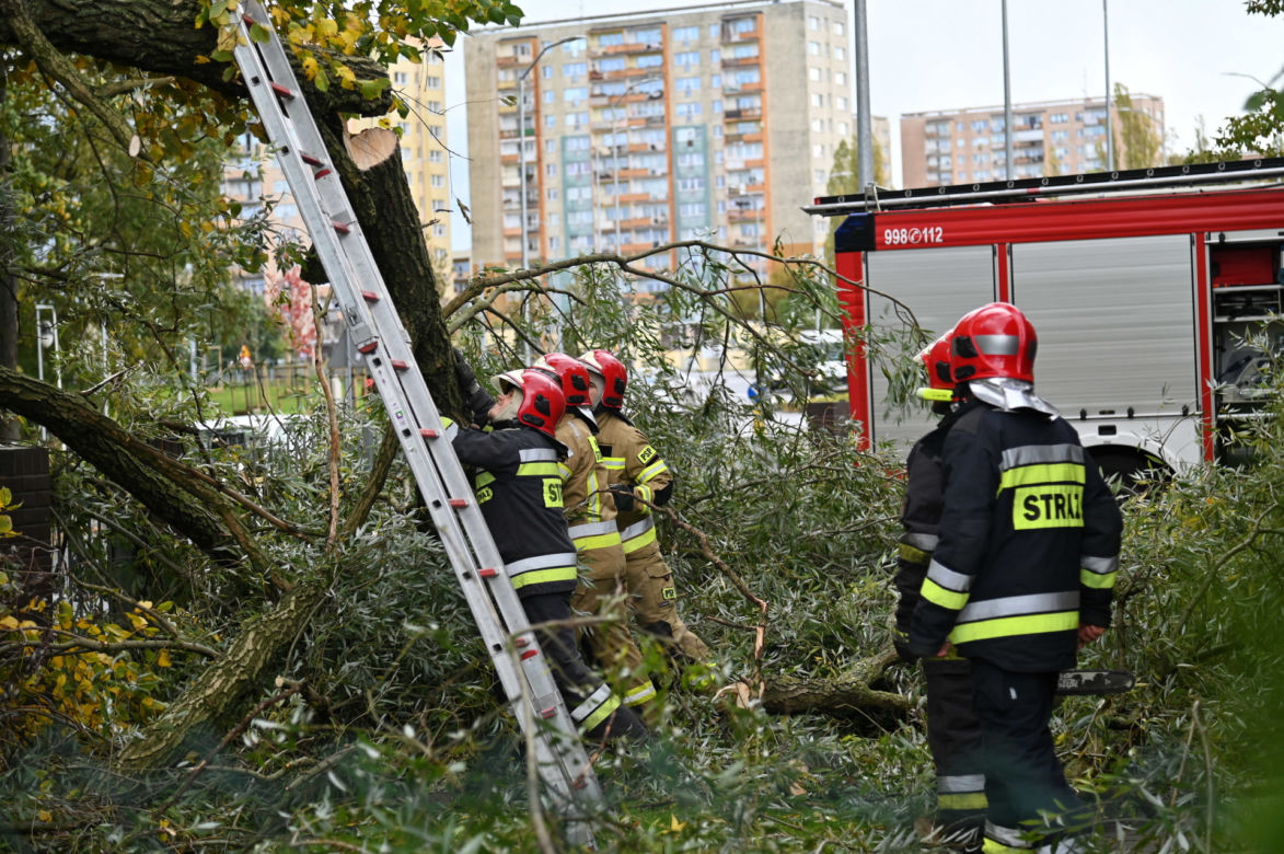 Silny wiatr przewracał drzewa i zrywał dachy