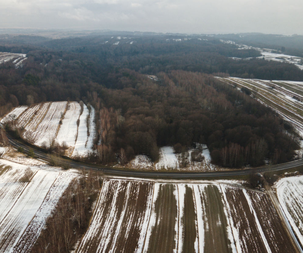 zamość