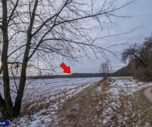 Samobójstwo czy morderstwo? Jak doszło do śmierci Jolanty Brzeskiej? Policja wraca do sprawy sprzed lat
