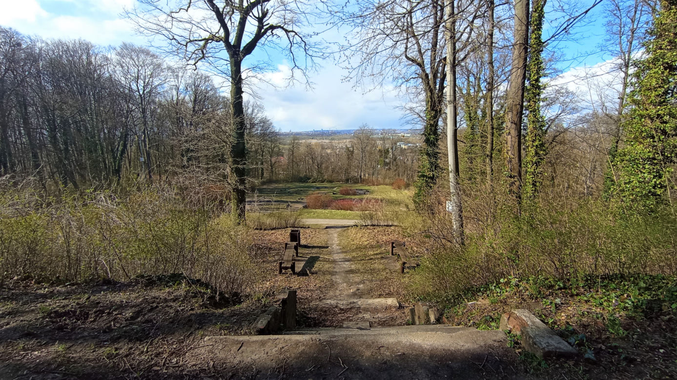 Puszcza Bukowa