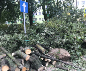 Jedną z dzielnic, któa ucierpiała najbardziej był Czechów Południowy