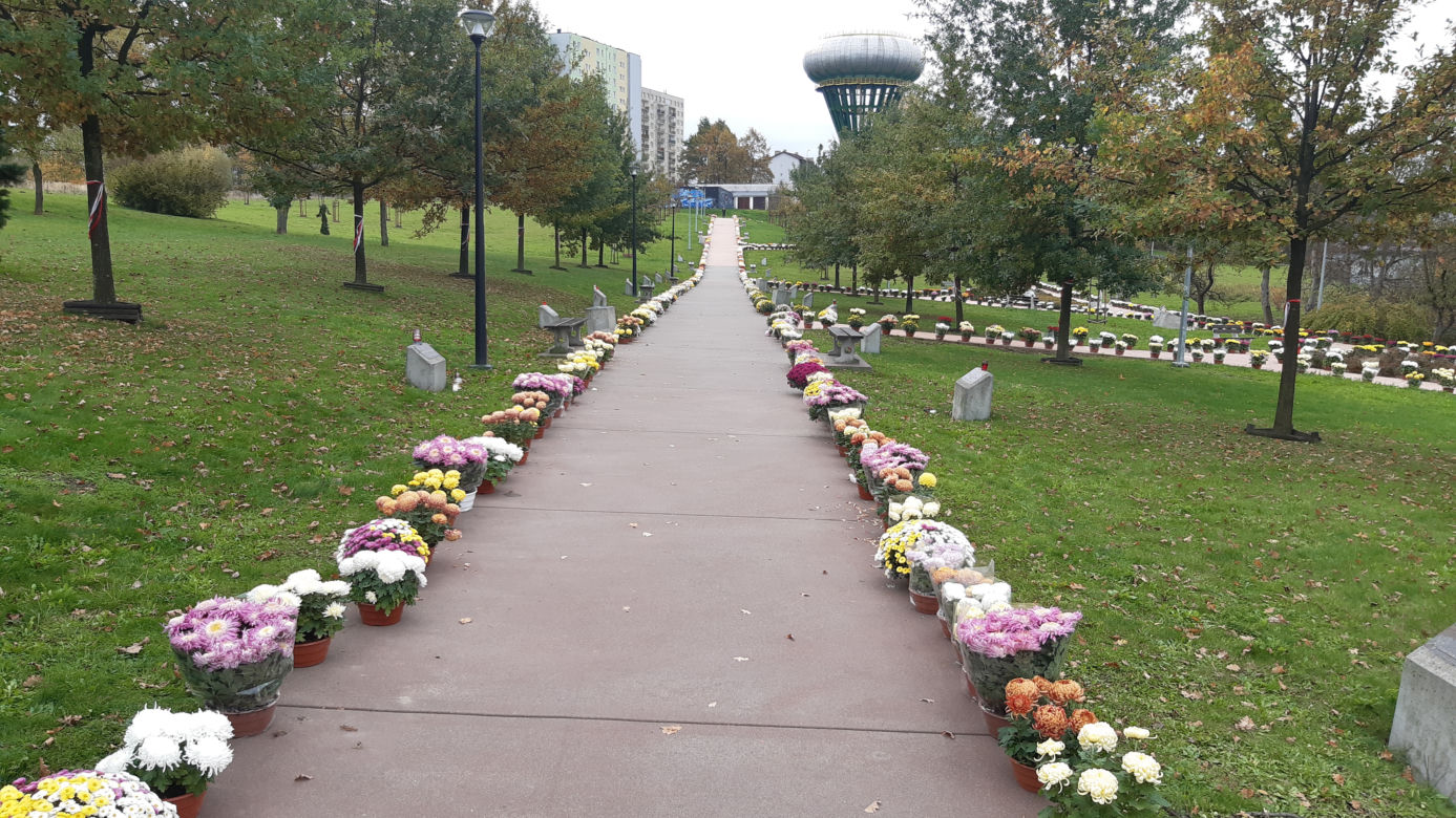 Dwa tysiące chryzantem ozdobiło park w Tarnowie