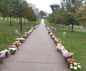 Dwa tysiące chryzantem ozdobiło park w Tarnowie