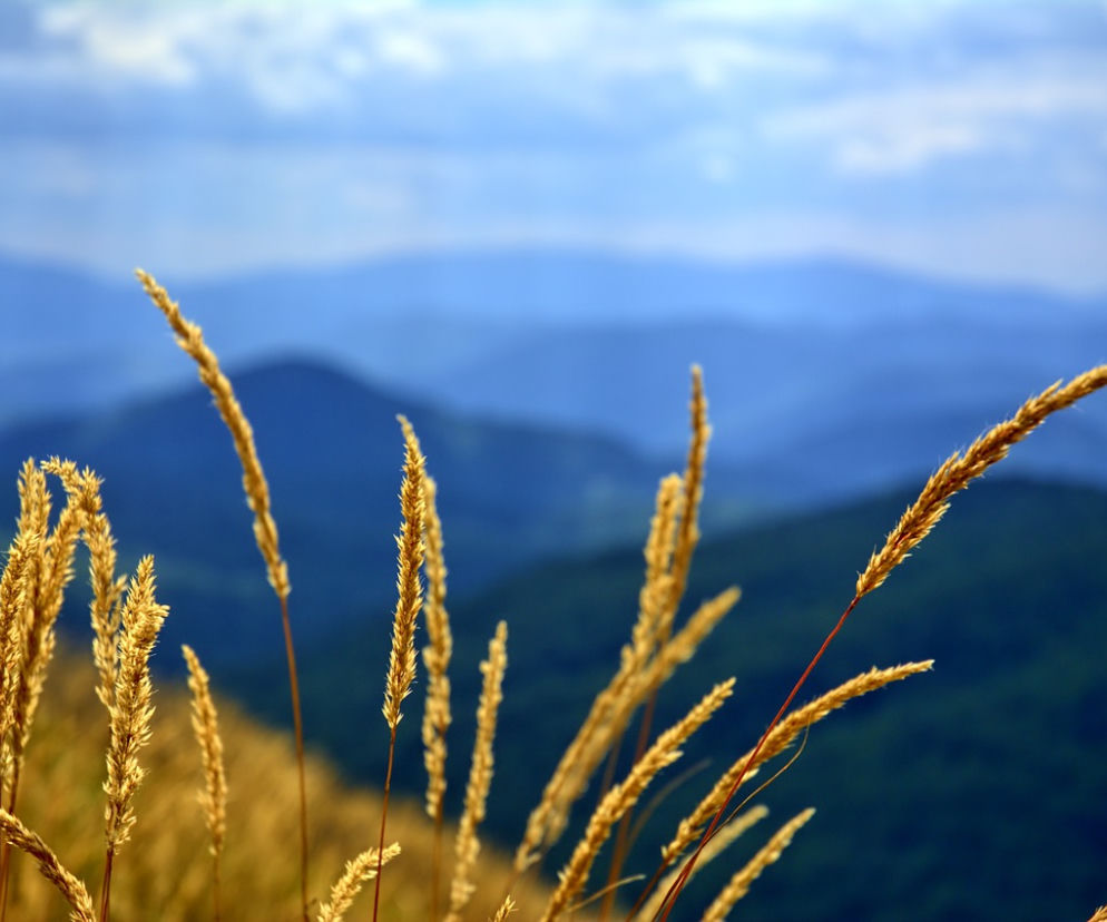 Bieszczady, góry, 