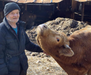 Rolnik z Podlasia bronił swojego bydła. Gdyby nie brat, to by mnie tam zatłukli