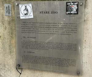 Artysta namalował mural z małpką Punch i wpadł w kłopoty! Zaskakujący finał