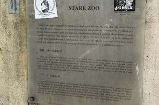 Artysta namalował mural z małpką Punch i wpadł w kłopoty! Zaskakujący finał