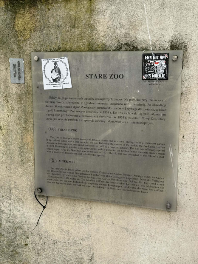 Artysta namalował mural z małpką Punch i wpadł w kłopoty! Zaskakujący finał