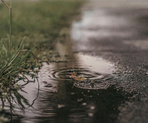 Nawet 20 stopni, ale również przymrozki i deszcz! Zaskakująca prognoza na 16 kwietnia