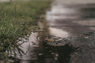 Nawet 20 stopni, ale również przymrozki i deszcz! Zaskakująca prognoza na 16 kwietnia