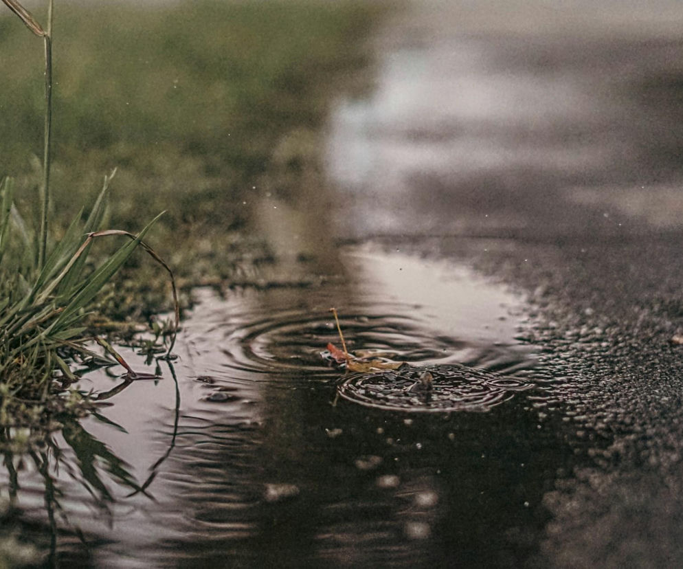 Opady deszczu w prognozie pogody / zdjęcie ilustracyjne