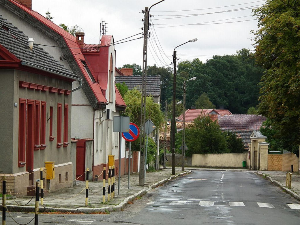 13. Gozdnica