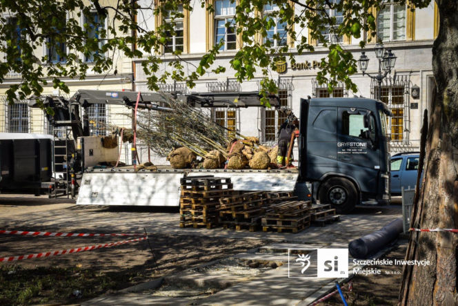 Nowe nasadzenia na Pl. Orła Białego