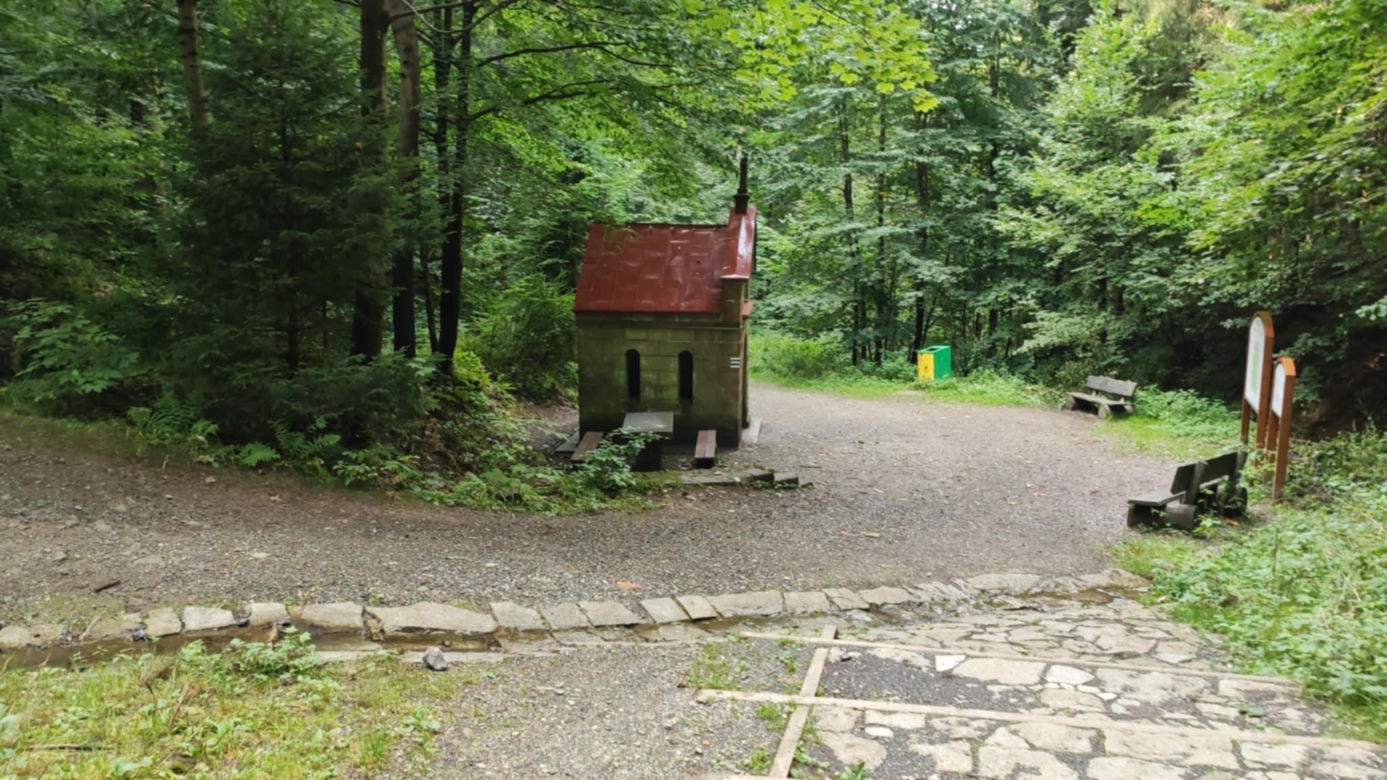 Obryw Skalny w Bardzie. Tutaj widoki zapierają dech w piersiach 
