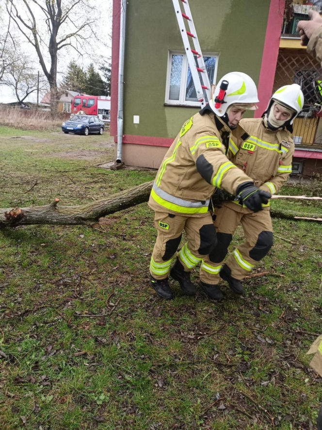 Interwencje Strażaków przy likwidacji szkód spowodowanych przez gwałtowny wiatr i burze