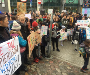 Młodzieżowy Strajk Klimatyczny w Poznaniu