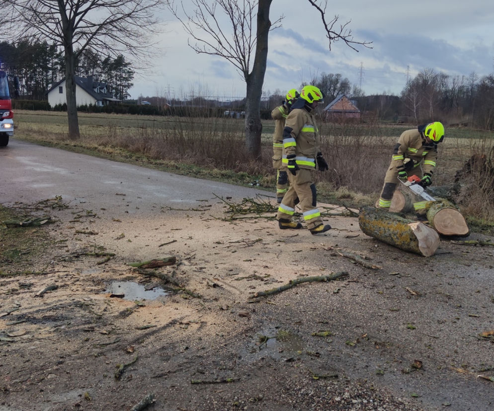 Wichura w Podlaskiem. Tysiące odbiorców bez prądu