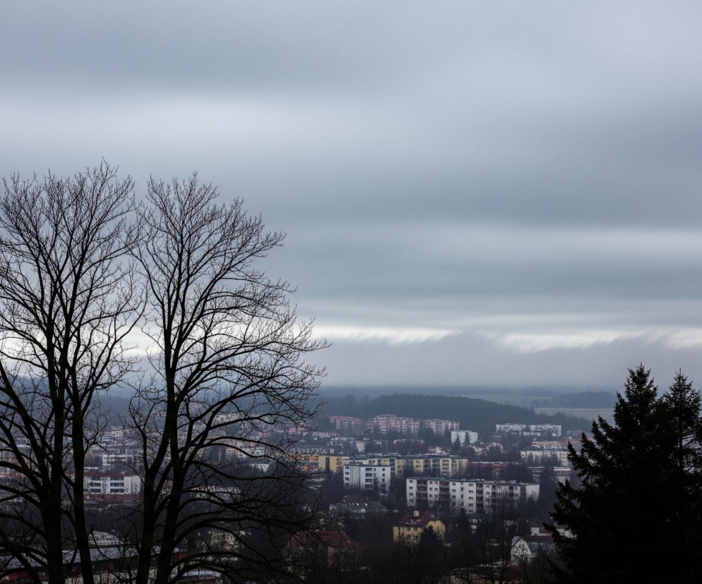 Po lewej stronie kadru dominuje duże, nagie drzewo o rozłożystych, ciemnych gałęziach. W tle rozciąga się miejski krajobraz z licznymi budynkami mieszkalnymi o różnych kolorach elewacji, głównie białych, żółtych i szarych z czerwonymi dachami. Dalej, na horyzoncie, widoczne są zalesione wzgórza, częściowo zasłonięte mgłą lub niskimi chmurami. Niebo jest pochmurne i szare, a po prawej stronie kadru widać ciemne sylwetki drzew iglastych, które częściowo wychodzą poza obszar obrazu.