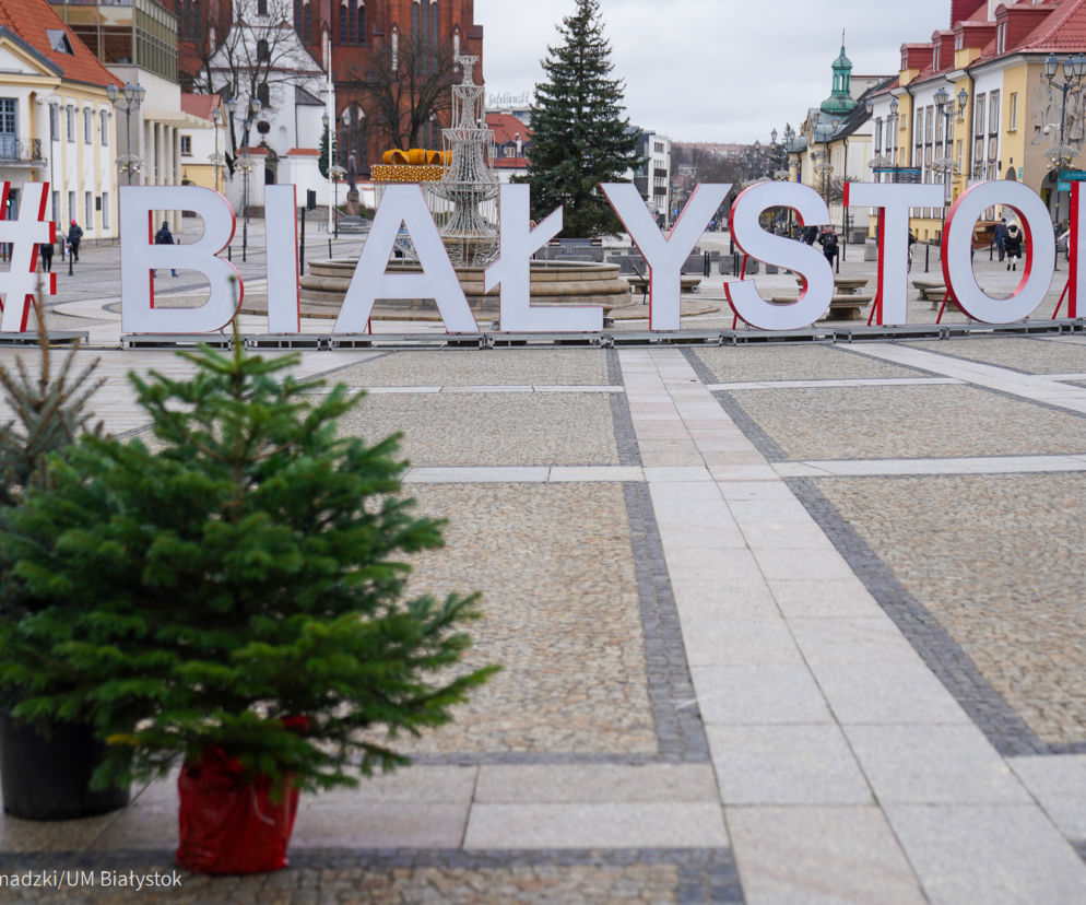 Białystok: Na Rynku Kościuszki będzie można wymienić sztuczne drzewko na żywe
