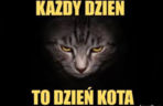 Mruczysz ze śmiechu? Najlepsze memy na Dzień Kota
