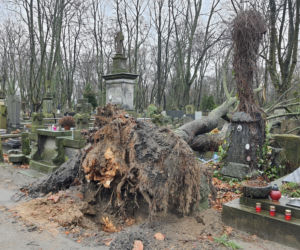 Wichura zdemolowała stołeczne nekropolie. Kompletna ruina na cmentarzach 