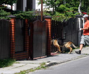 Rurabomber terroryzował Kraków. Policja wyznaczyła 30 tys. zł nagrody za pomoc w jego ujęciu